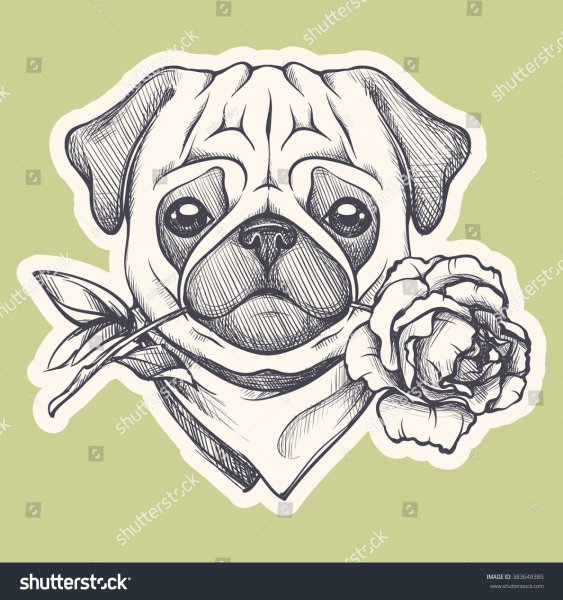 Набросок МОПСА