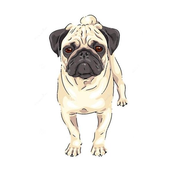 Собака Мопс вектор