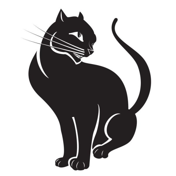 Кошка Графика