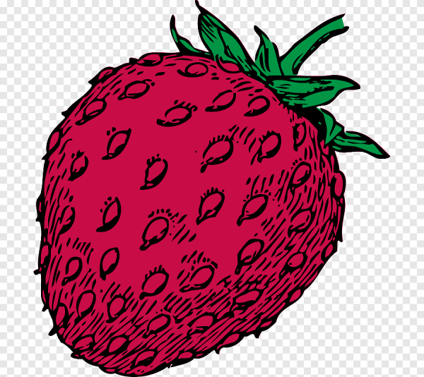 Векторная клубника