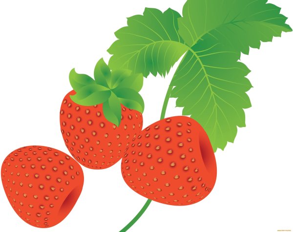 Векторная клубника