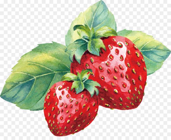 Клубника акварелью