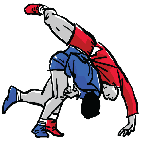 Эмблема самбо самбист