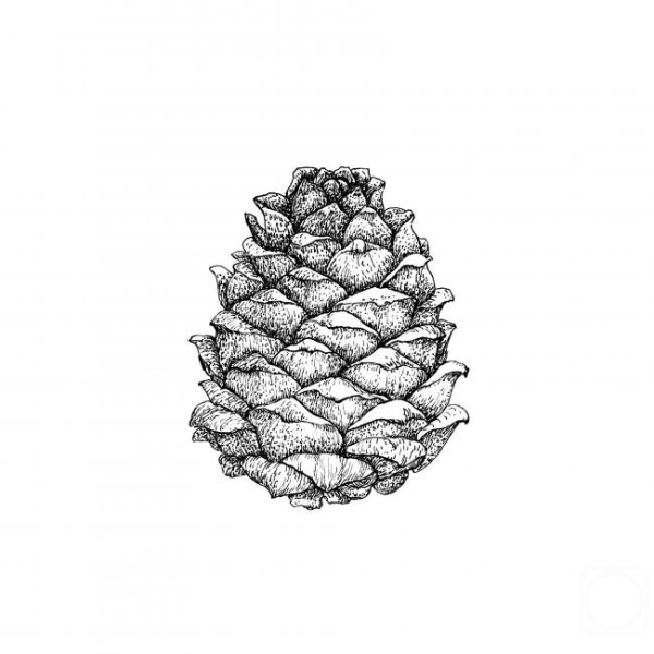 Шишки карандашом