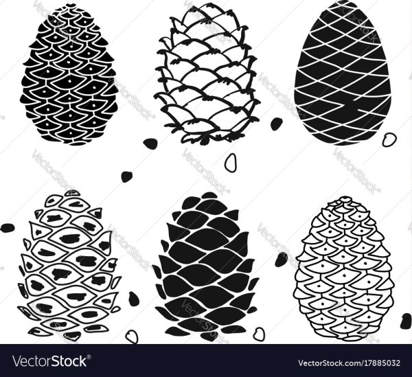 Стилизация шишки