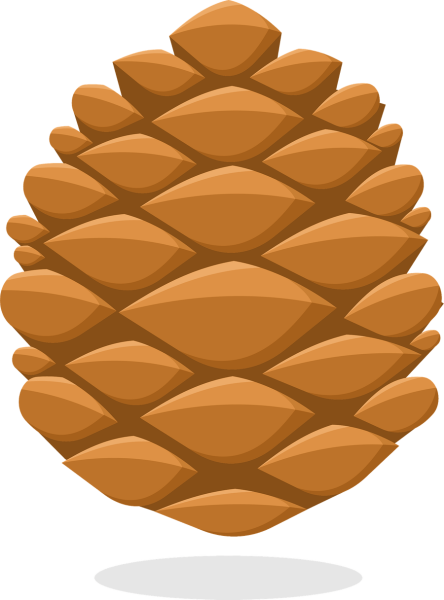 Шишка мультяшная