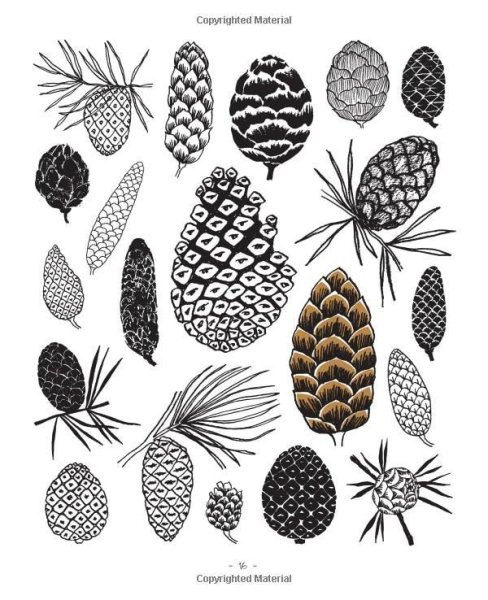 Стилизация шишки