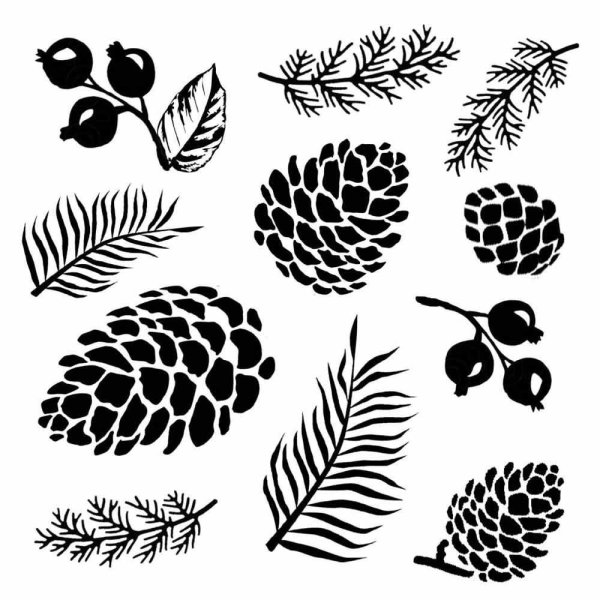 Трафарет шишки