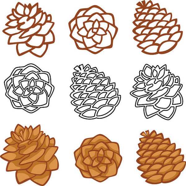 Стилизация шишки