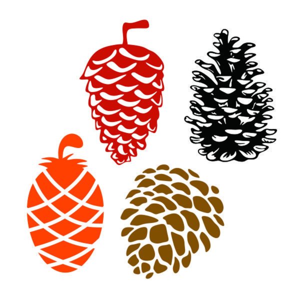 Орнамент шишки