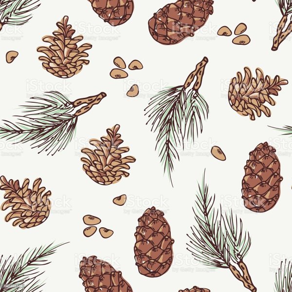 Шишки паттерн