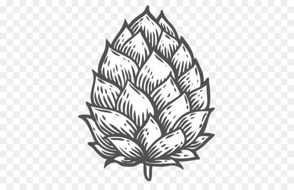 Шишки раскраска