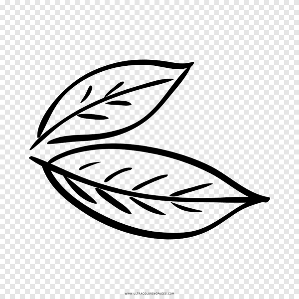 Лавровый лист трафарет