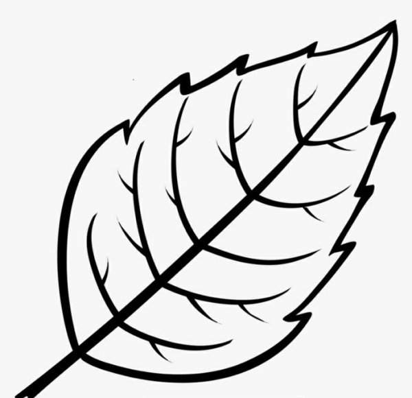 Листок раскраска для детей