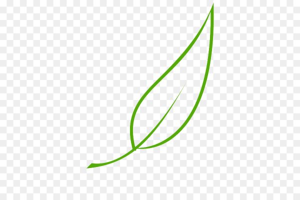 Растение листочки контур