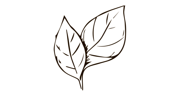 Белые листики на черном фоне