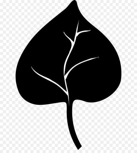 Силуэты листьев деревьев