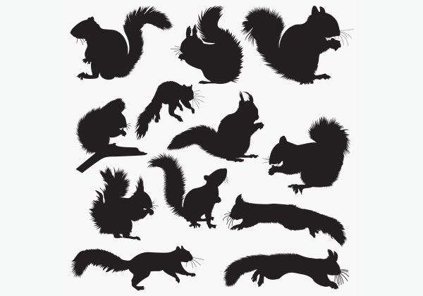 Силуэты животных белка