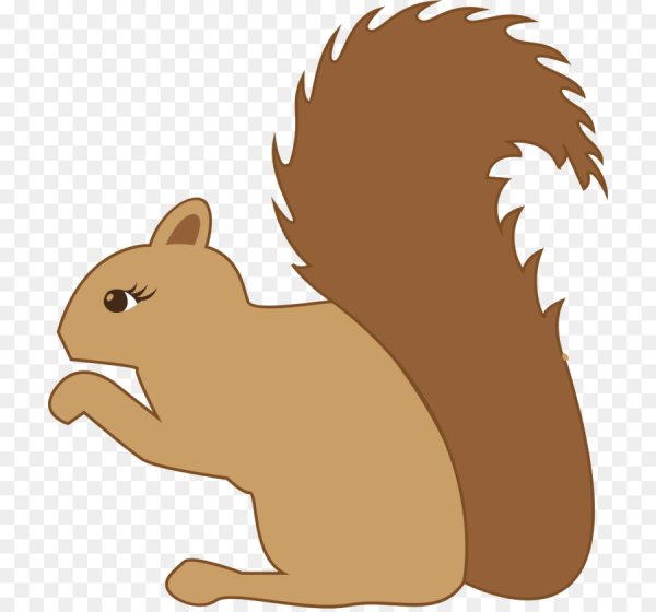 Белочка в профиль