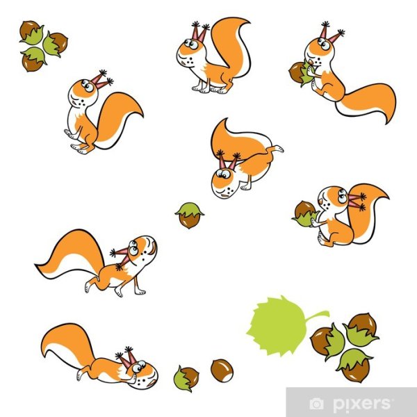 Белочка в разных позах