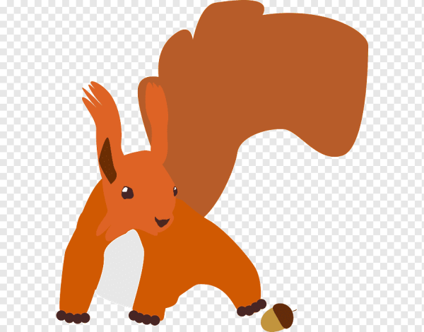 Белка вектор