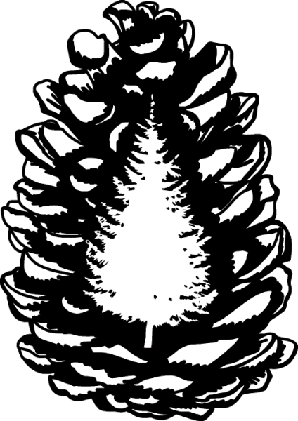 Шишка силуэт