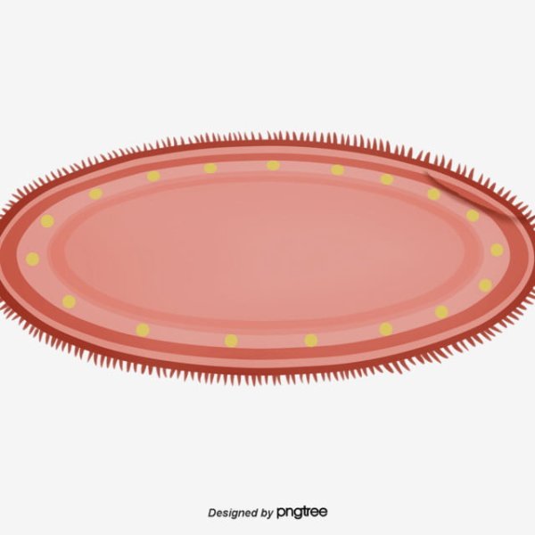 Круглый ковер вектор