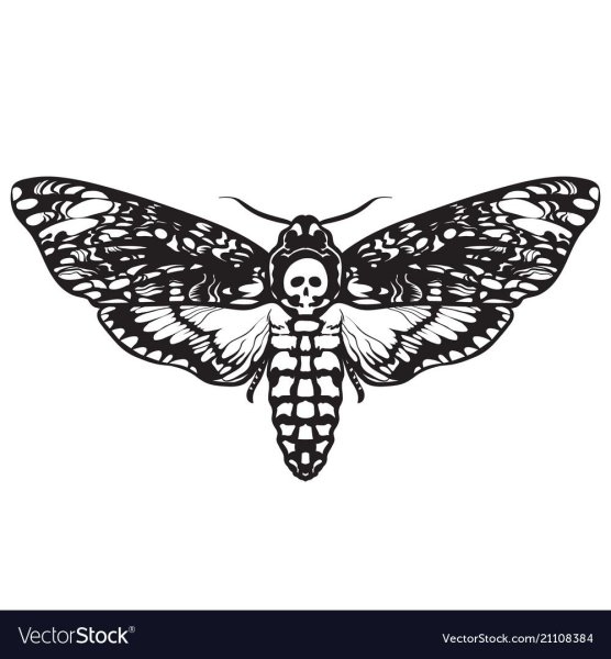 Бражник мёртвая голова вектор