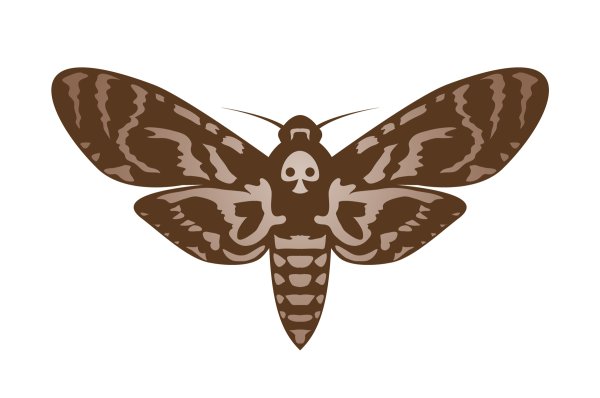 Бабочка мёртвая голова вектор