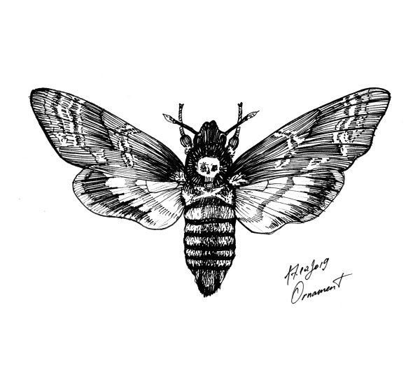 Бабочка мёртвая голова вектор