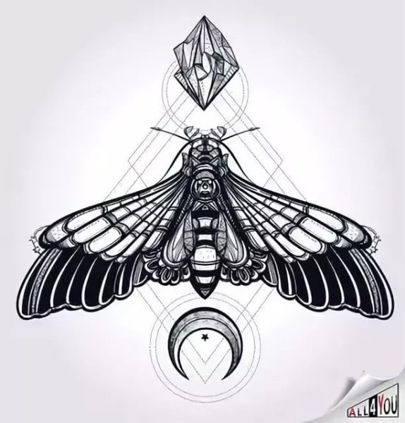 Моль раскраска