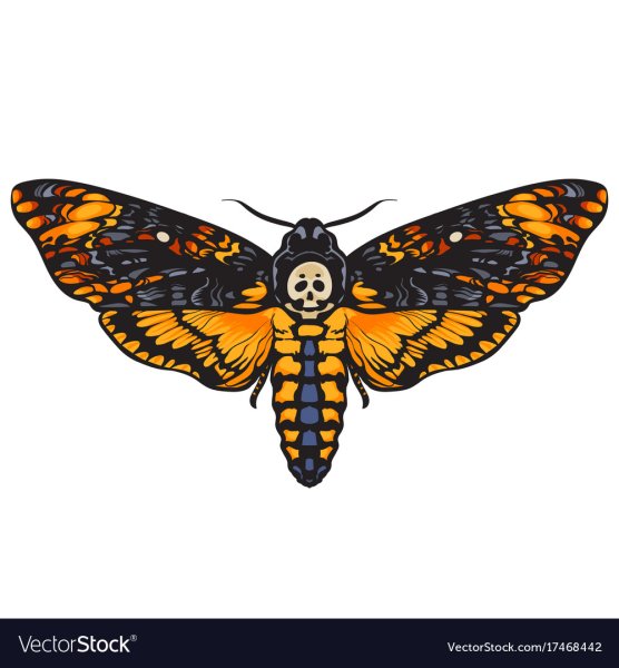 Татуировка Бражник мертвая голова