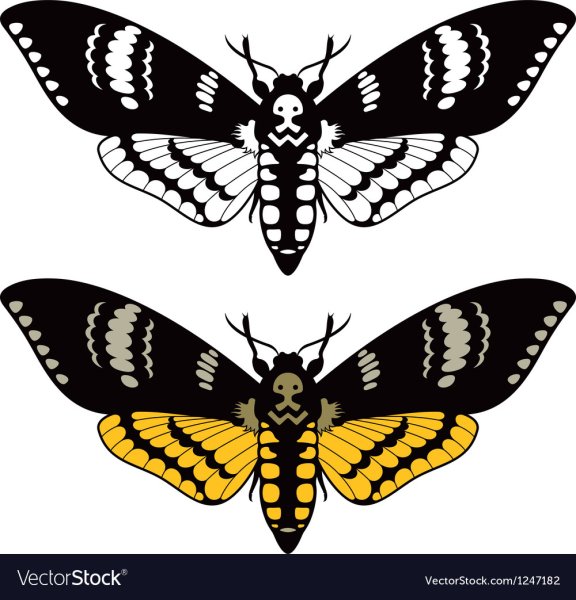 Татуировка Бражник мертвая голова