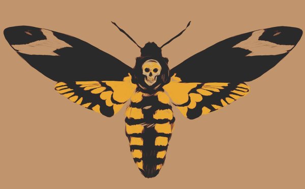 Мотылек Moth Art