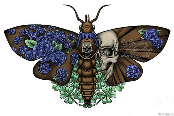 Бражник Графика