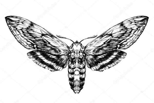 Моль тату эскиз