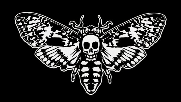 Черно белая моль