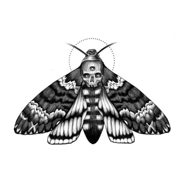 Мотылёк Бражник тату