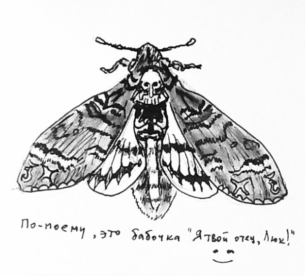 Татуировка мотылек эскизы