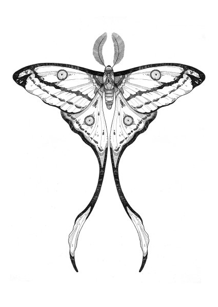 Мотылек тату эскиз