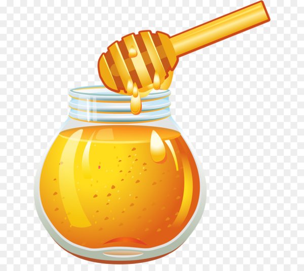 Векторный мед