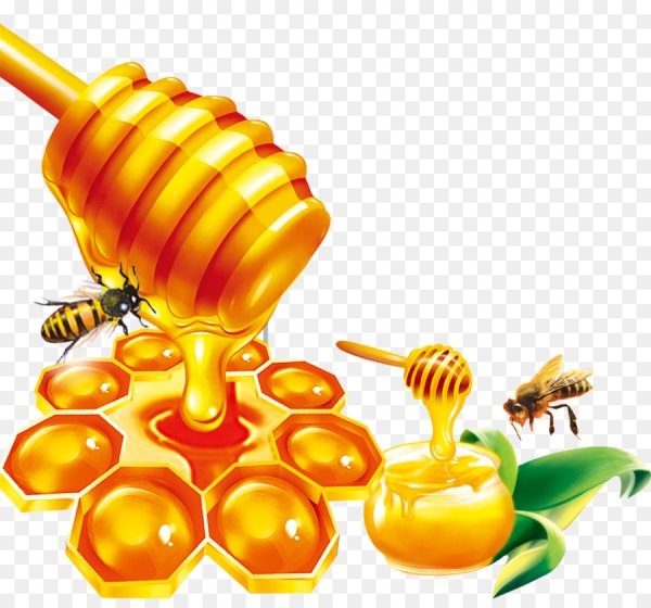 Мед в сотах вектор