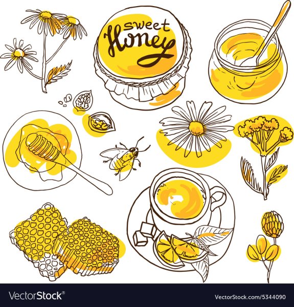 Мед клипарт вектор