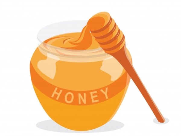 Мед мультяшный на белом фоне