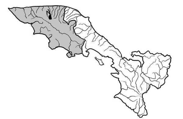 Полуостров Камчатка контур