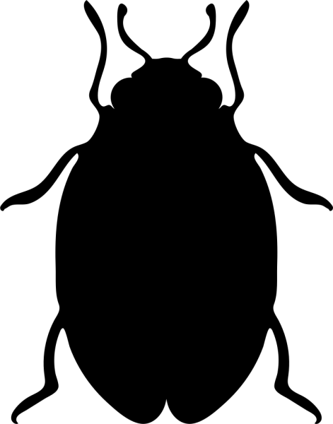 Векторный Жук