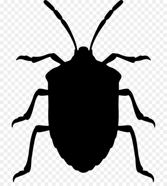 Векторный Жук