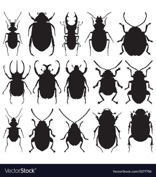 Трафарет жука