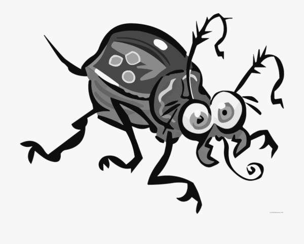 Жуки Векторная Графика