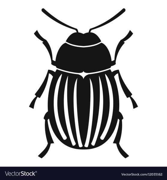 Колорадский Жук черно белый